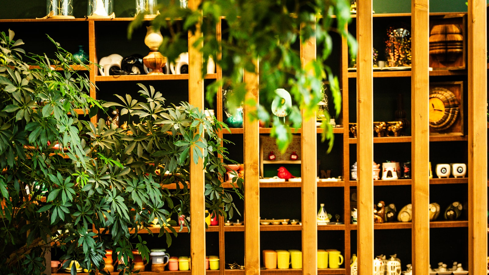 Warm wooden shelving filled with carefully arranged ceramics, mugs, decorative objects, and trailing plants — a curated retail display with a clear point of view.